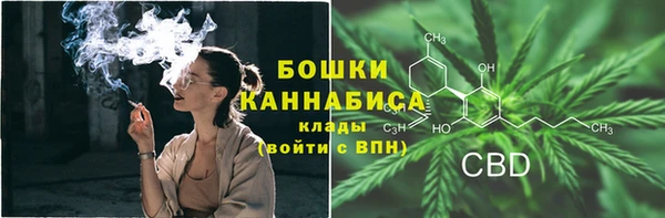 стафф Россошь