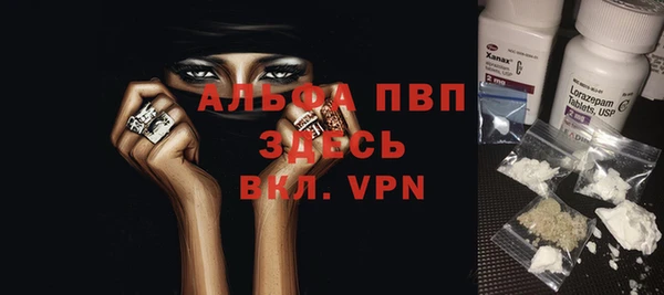 прущие грибы Армянск