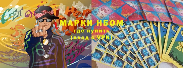 прущие грибы Армянск