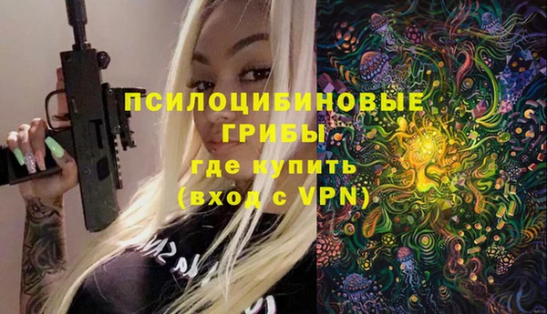 круглые Рославль