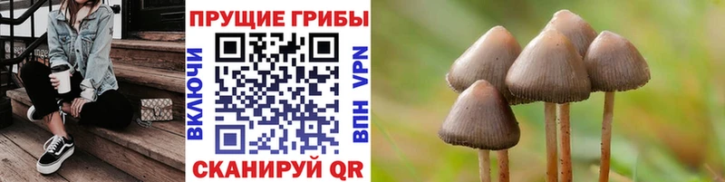 Псилоцибиновые грибы Psilocybine cubensis  blacksprut ТОР  Ивангород 